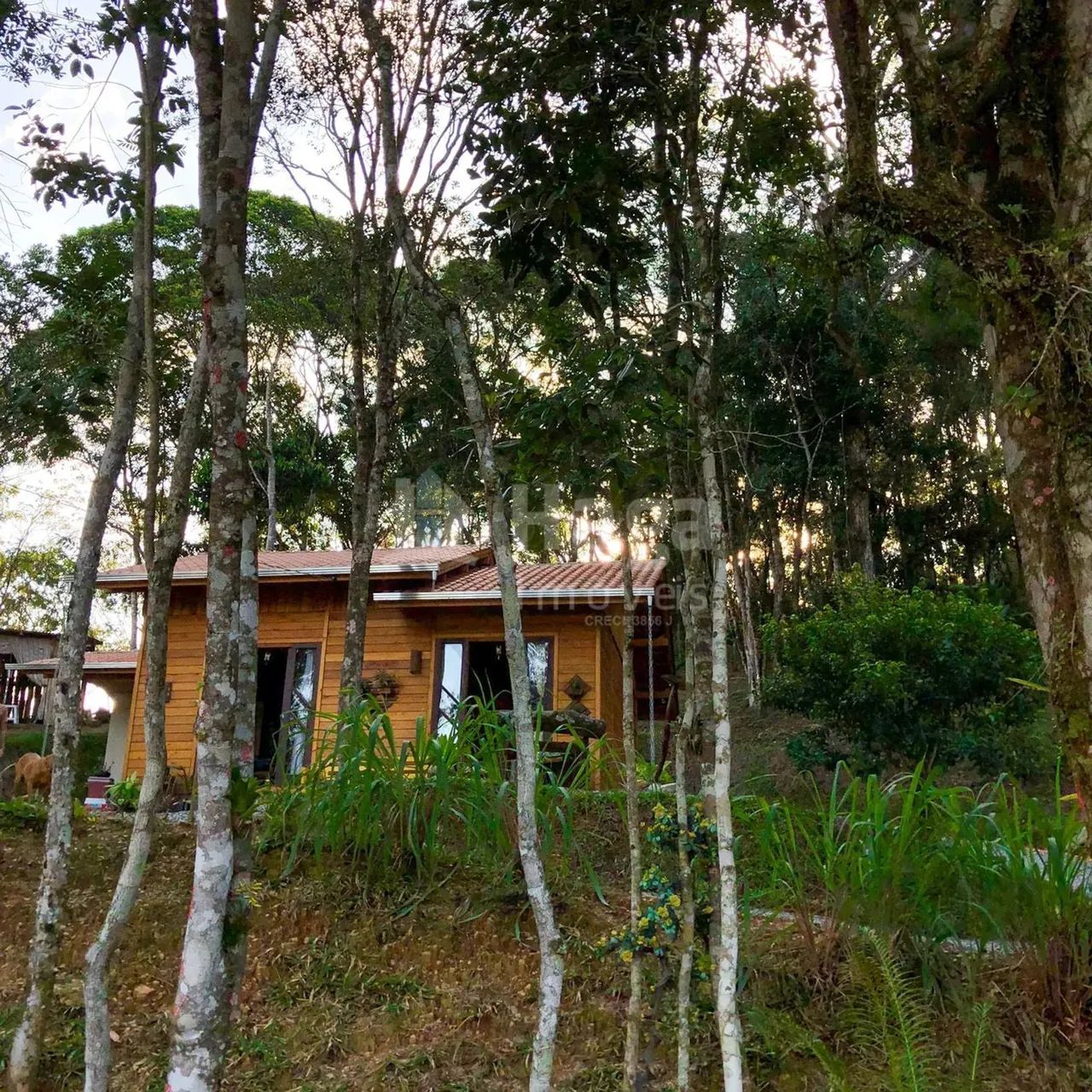 Sítio à venda em Canelinha/SC - Foto 3