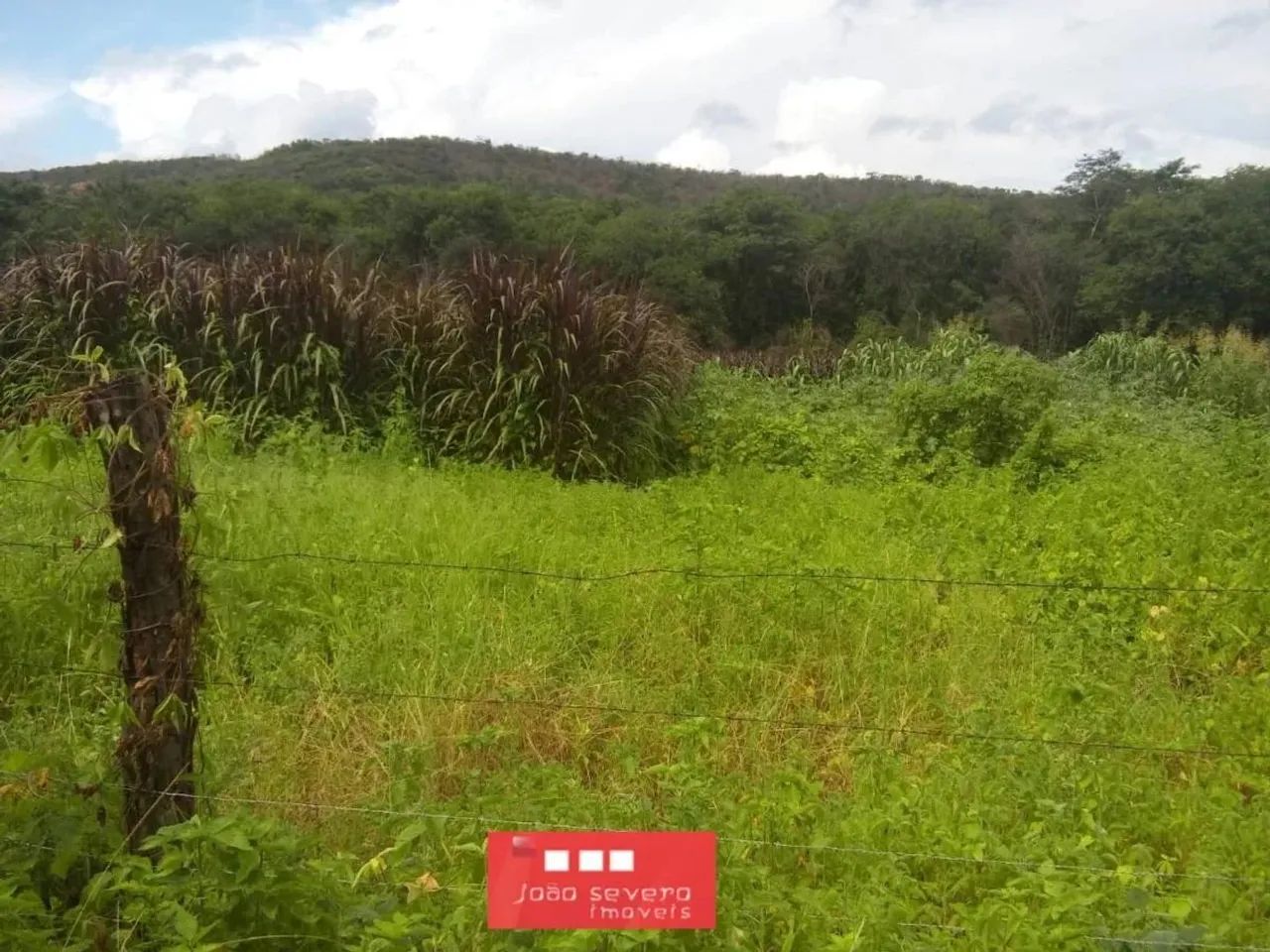 Fazenda para Venda em São Braz do Piauí - Foto 3
