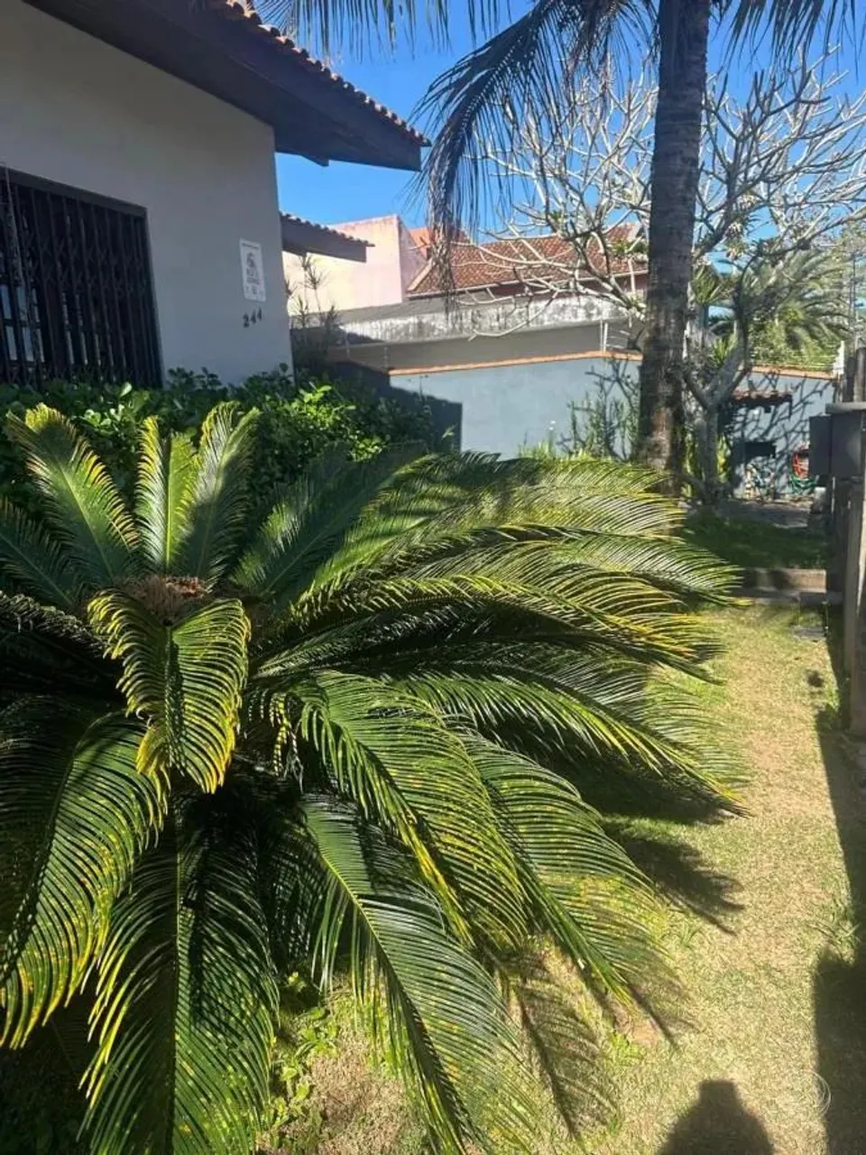 Terreno para Venda em Florianópolis, Santa Mônica