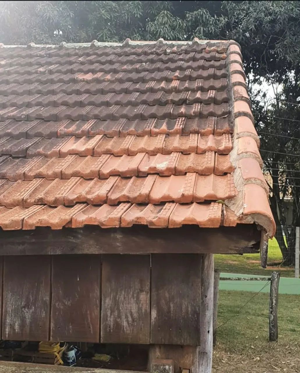 Lavagem de Telhado a Seco - Cuide do Seu Telhado com Segurança