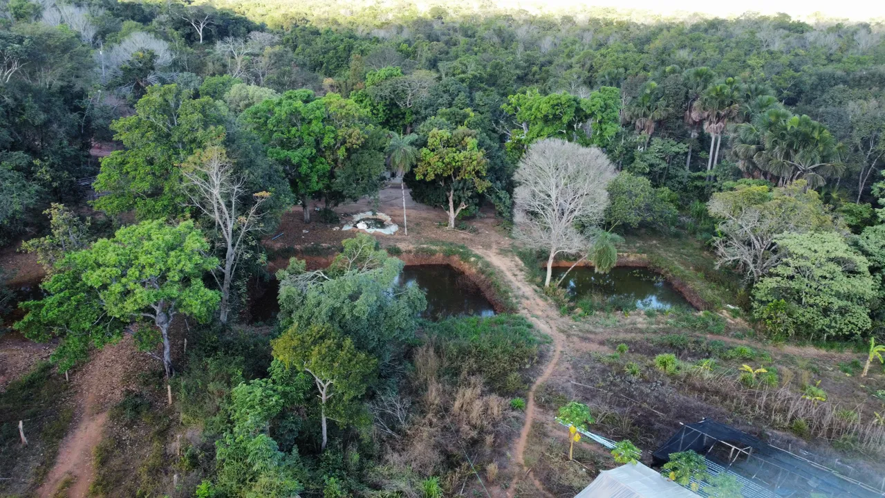 Fazenda de 37 alqueires
