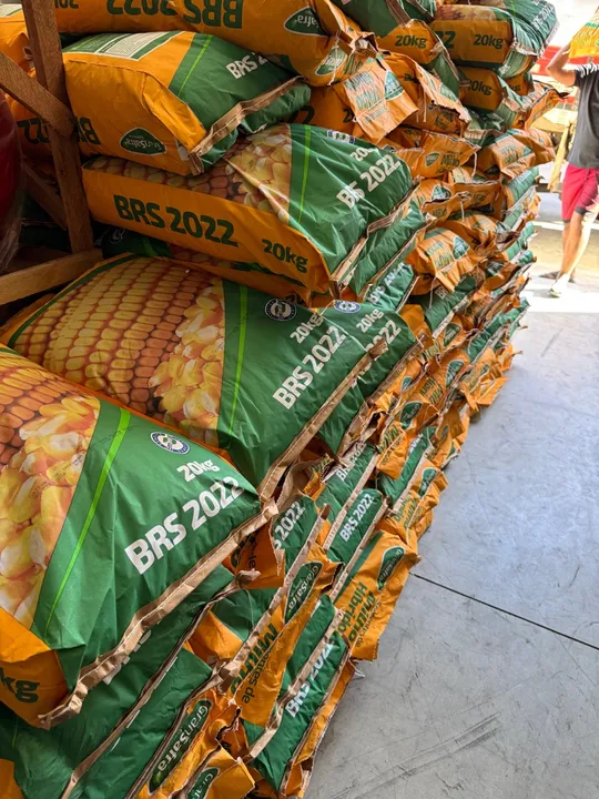 Semente de milho BRS 2022 GranSafra 20kg