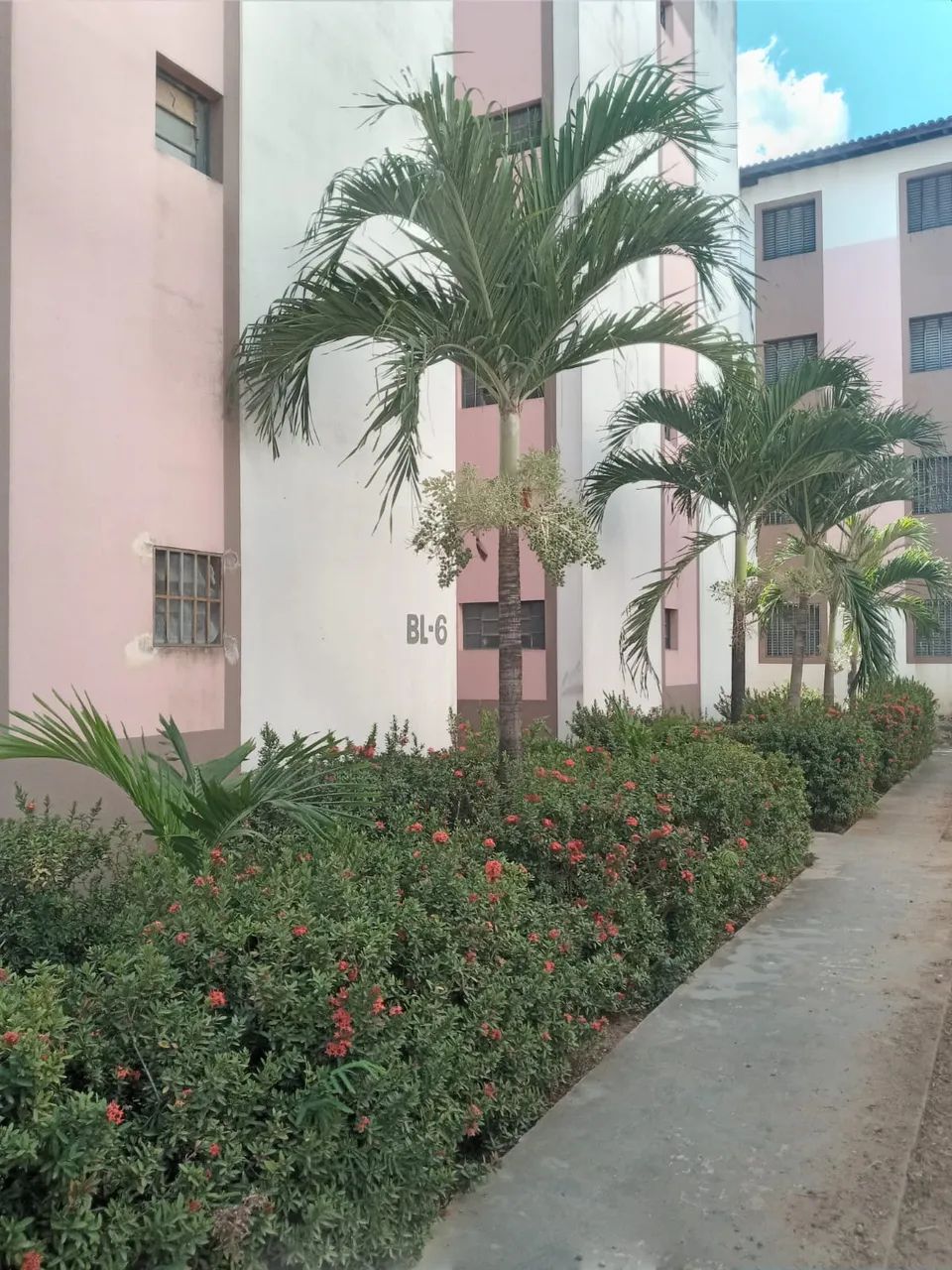 Apartamento para venda possui 42 metros quadrados com 2 quartos em Campestre - Teresina -  - Foto 2
