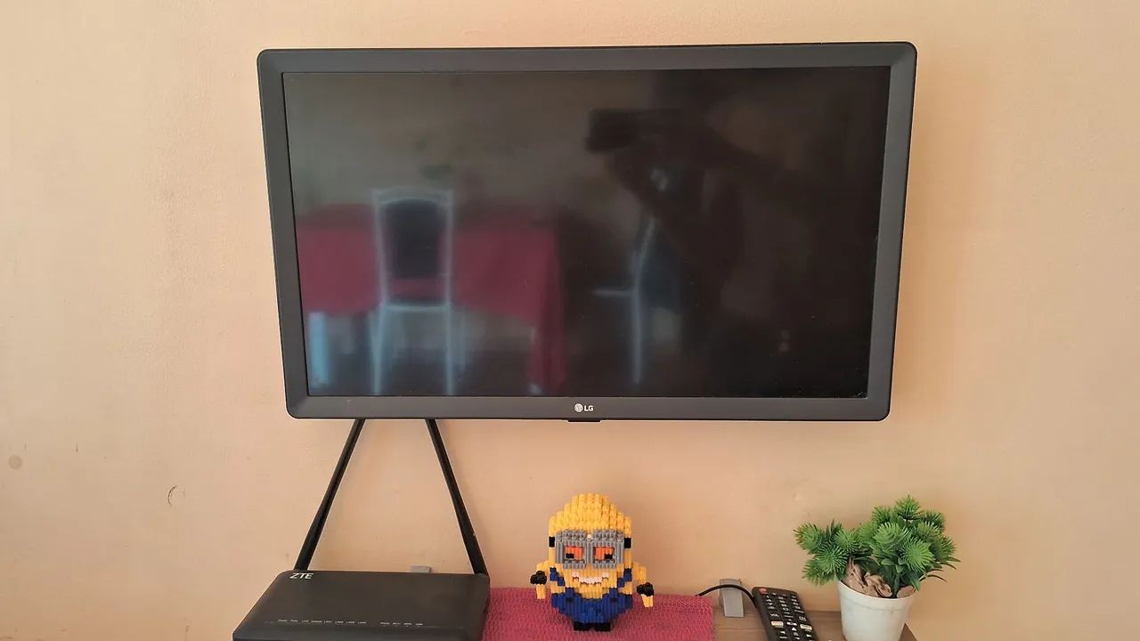 Vendo tv LG funcionando perfeitamente 