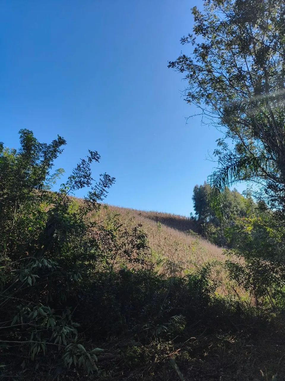 Terreno  - Foto 5