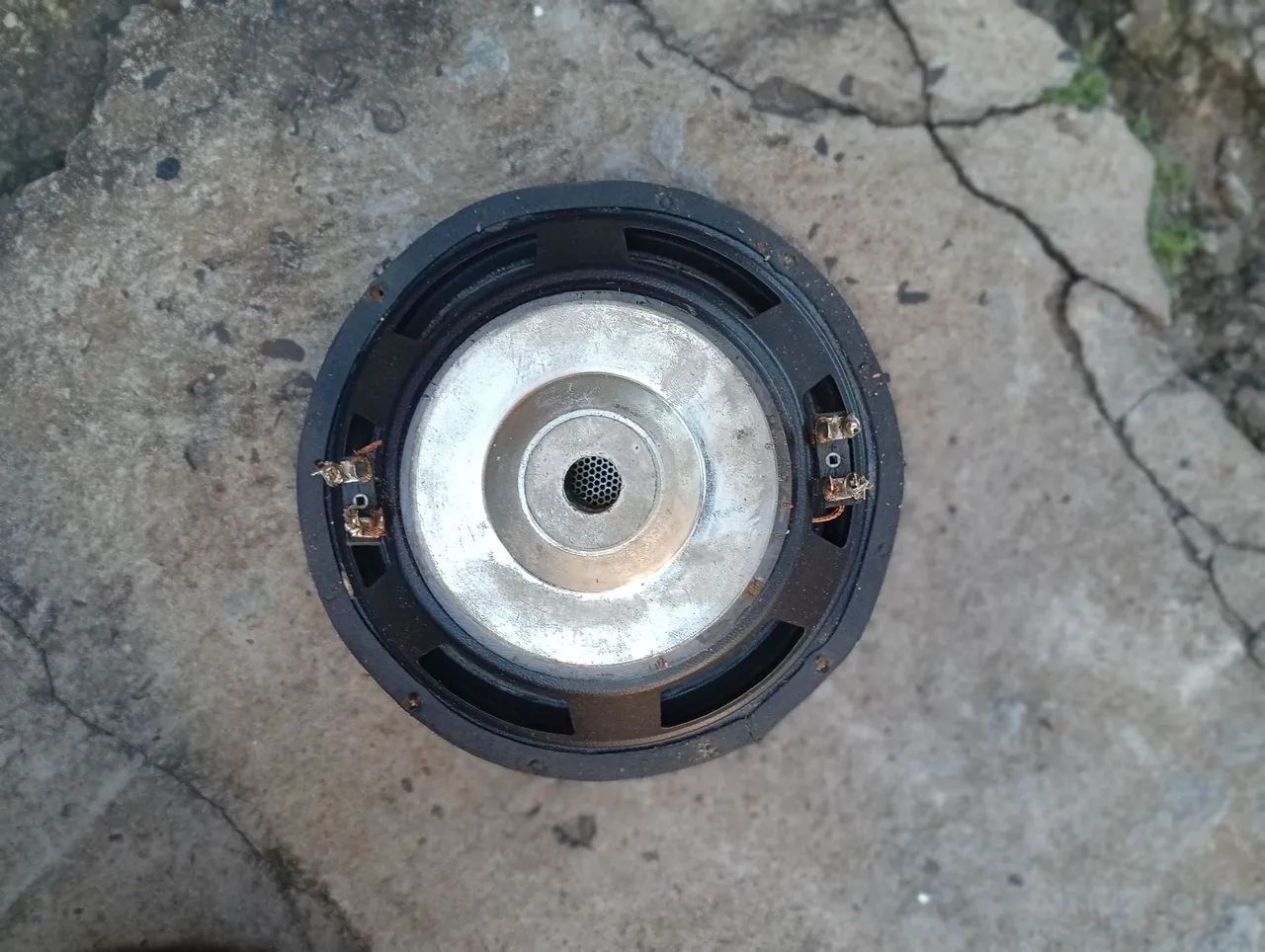 Auto falante 8 polegadas bobina dupla 