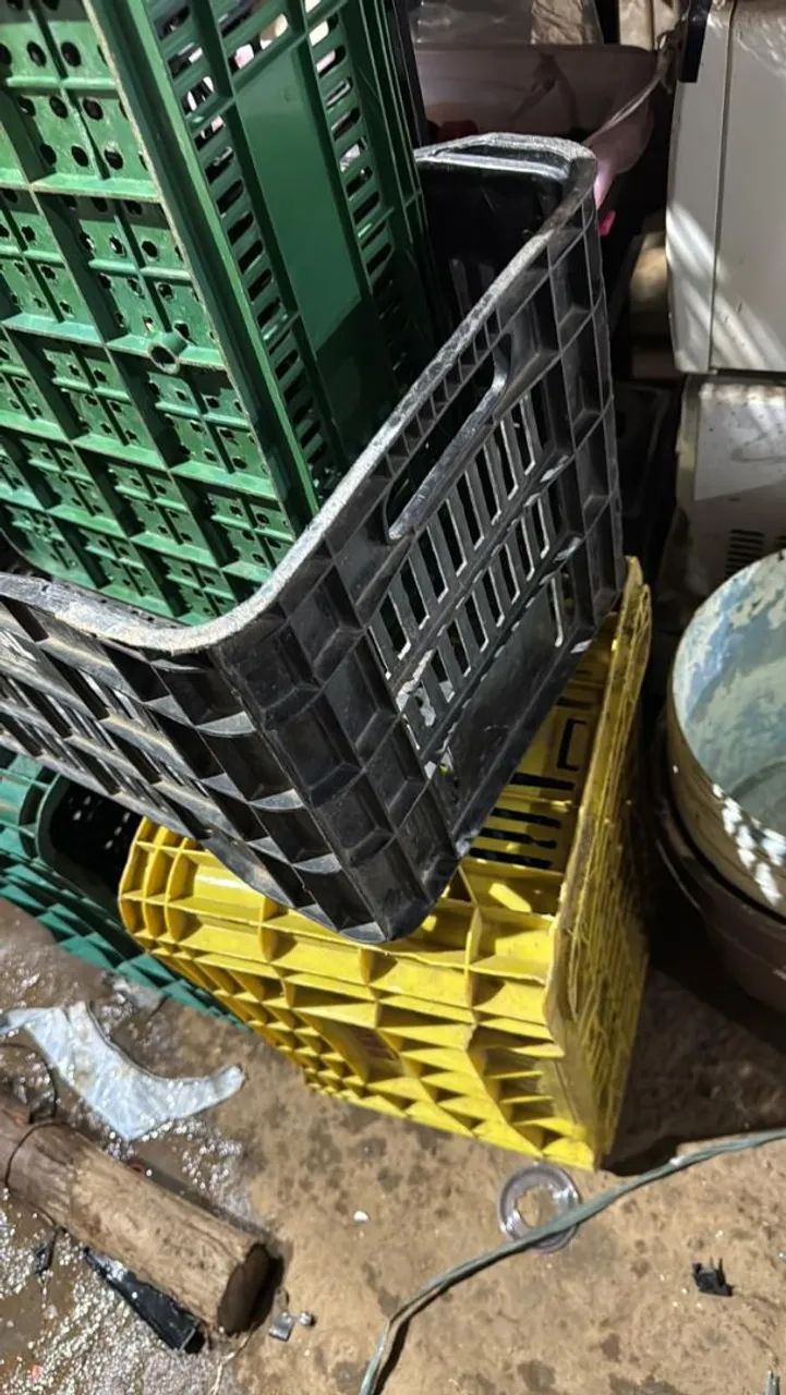 Caixas de frutas organizadora 