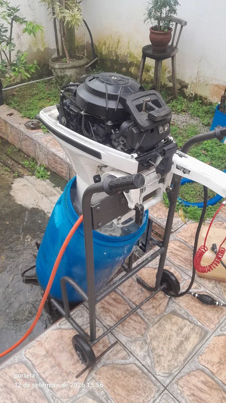 Johnson 15hp ( todo revisado ) - Foto 4