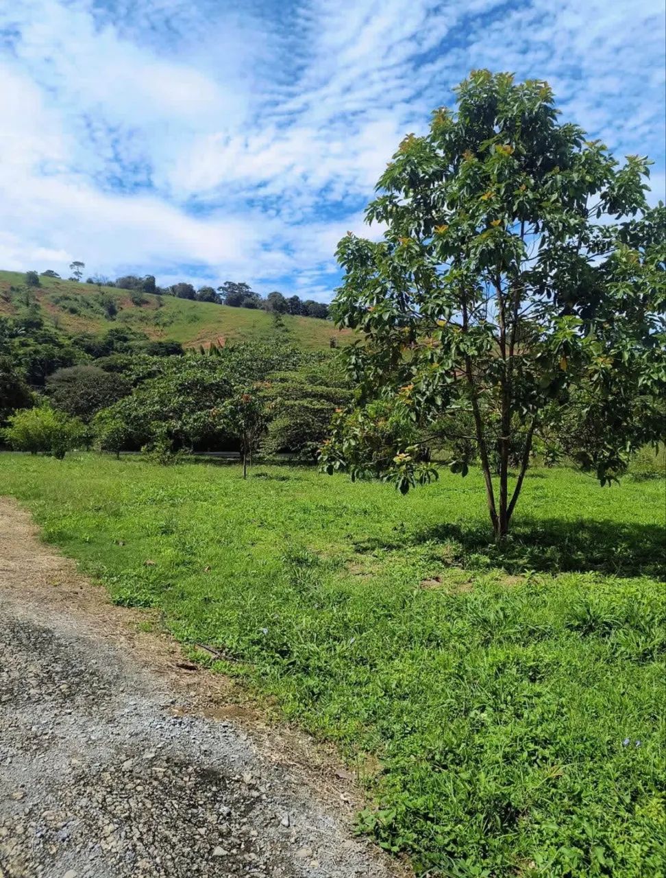Chácara no Córrego Beija-Flor - Foto 4