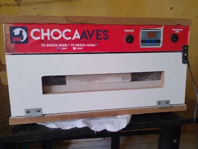 Chocadeira sem ovos