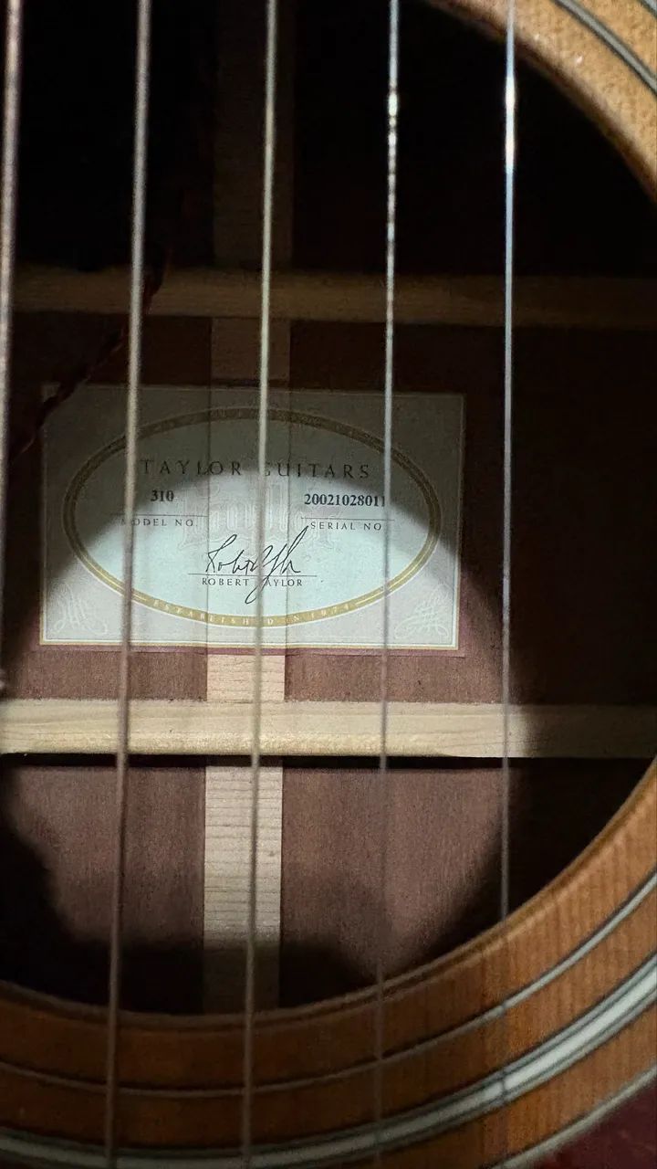 Taylor 310 - Foto 2