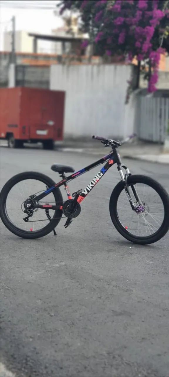 Bicicleta VikingX - Foto 3