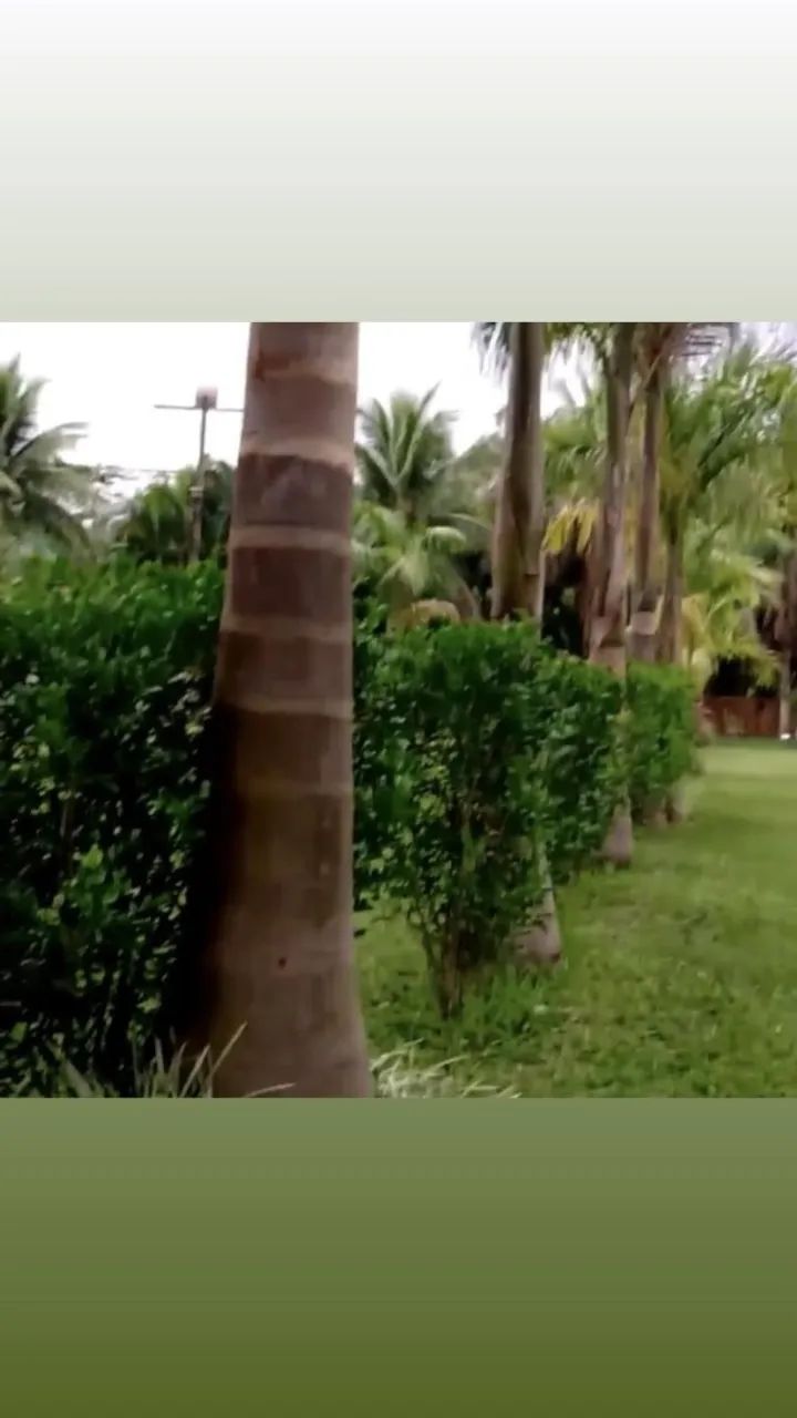 Vendo Sítio Excelente Oportunidade - Foto 3