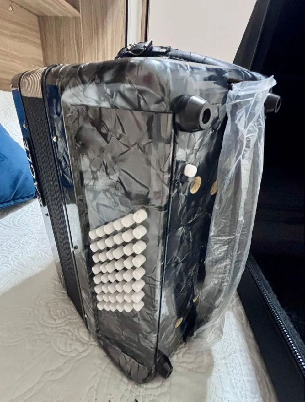 Acordeon 48 Baixos  - Foto 2