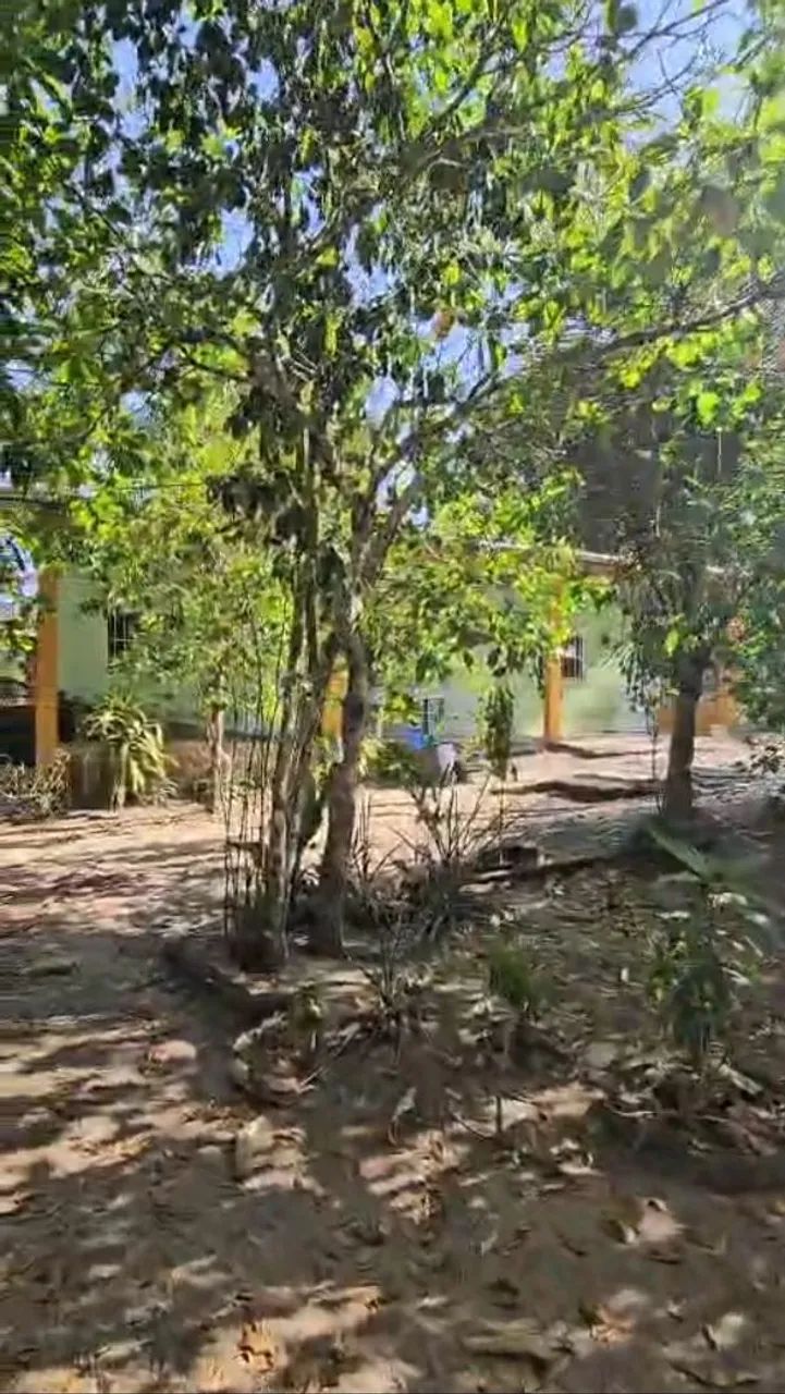 Sítio com uma casa e três kitinetes  - Foto 2