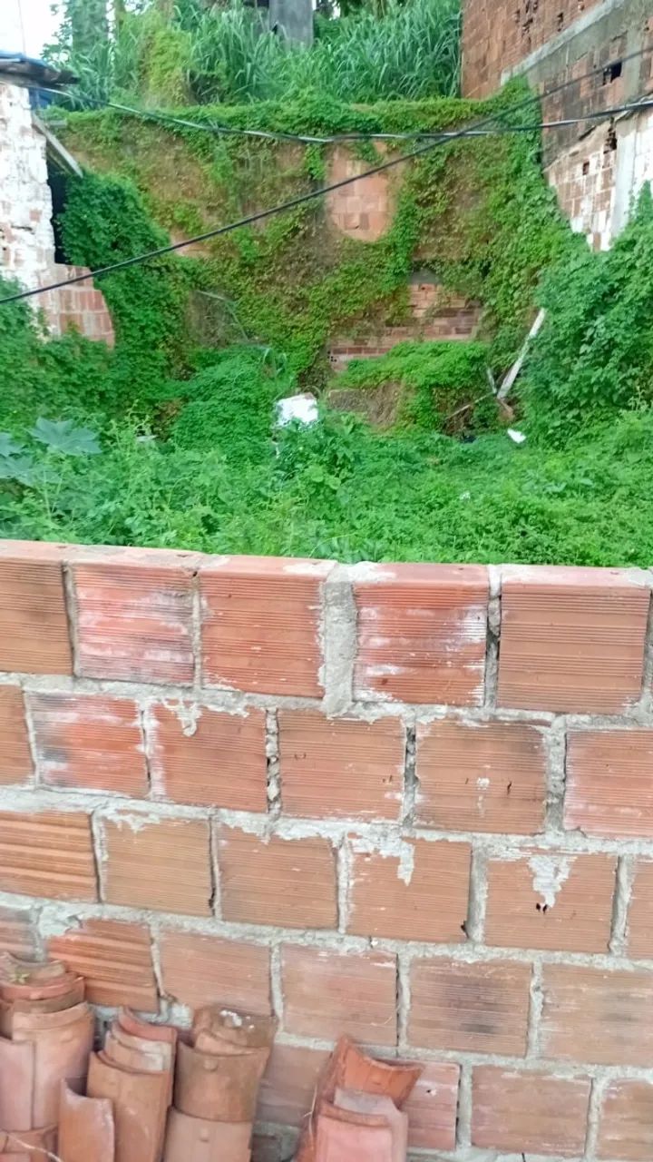 vendo terreno  - Foto 2