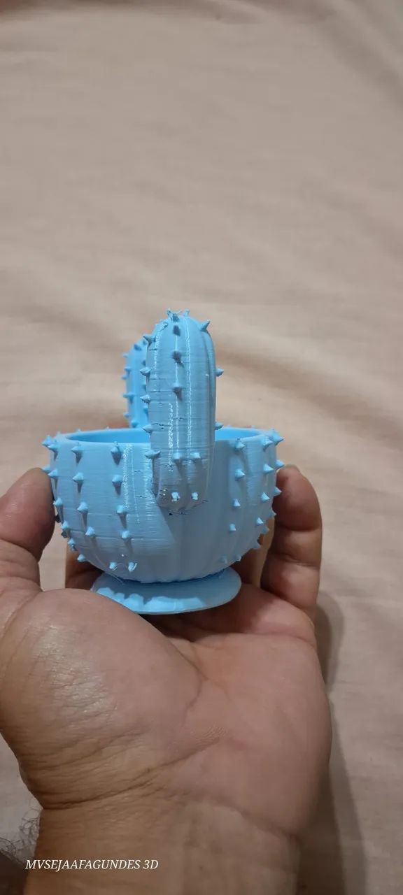 Vaso cacto em 3d