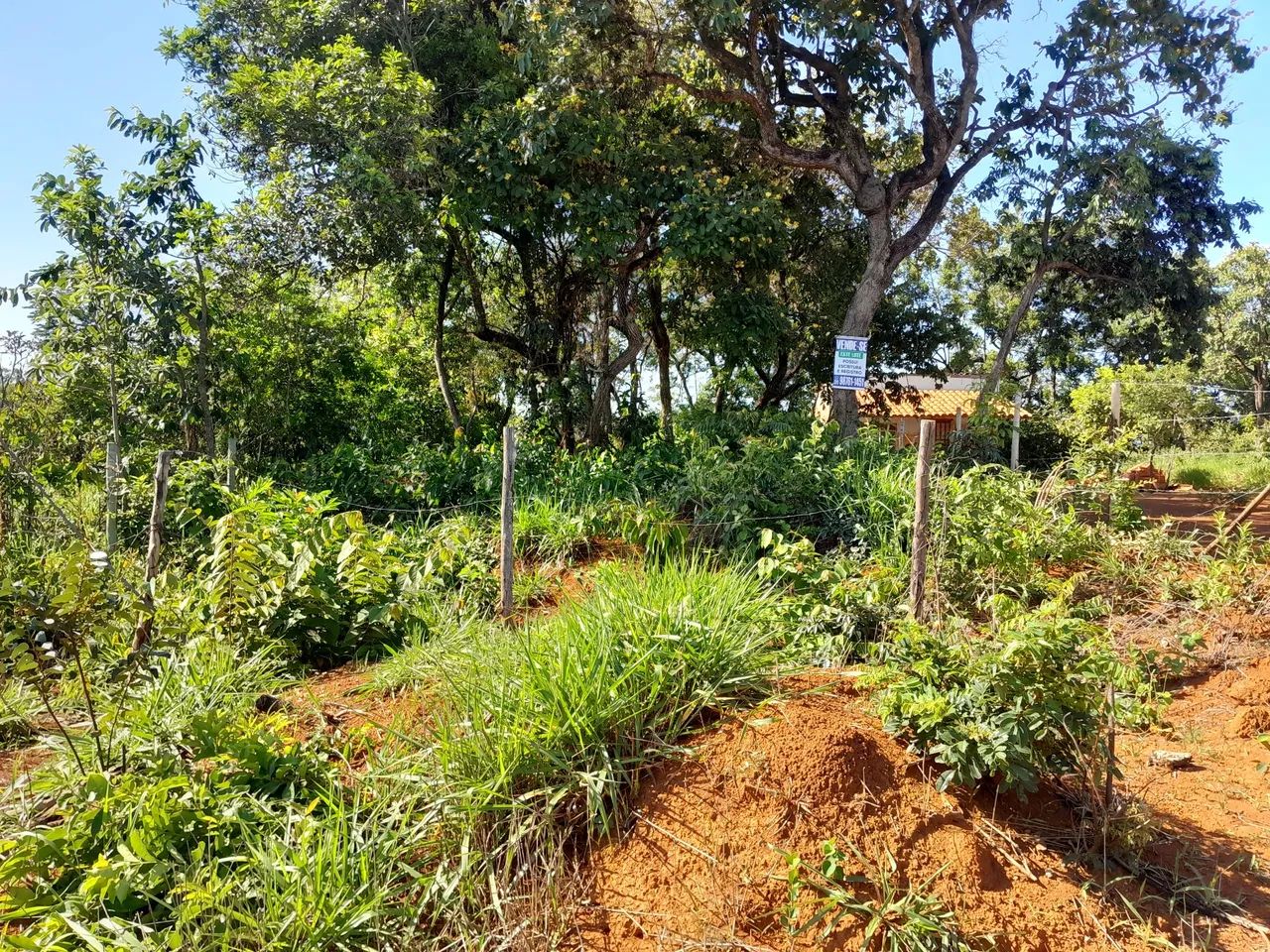 Lotes no bairro paraíso em mateus leme 9 - Foto 5