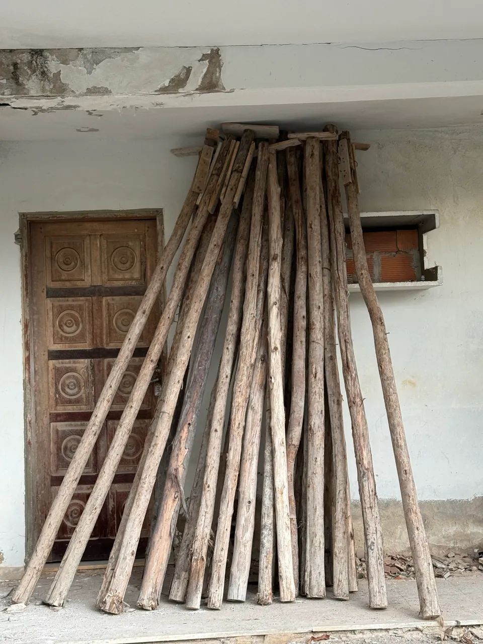 Eucalyptus log