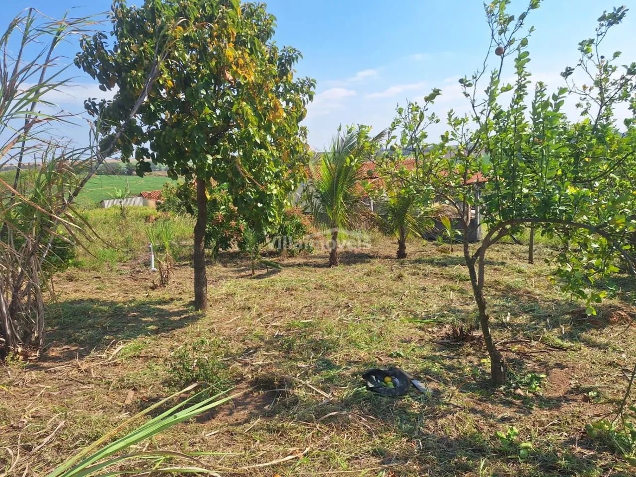 terreno - Chácara Cruzeiro do Sul - Sumaré - Foto 4