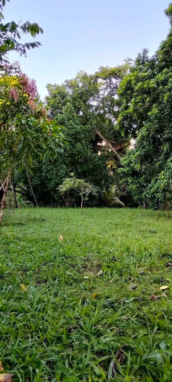 Lotes de terreno e mini chácaras  - Foto 3