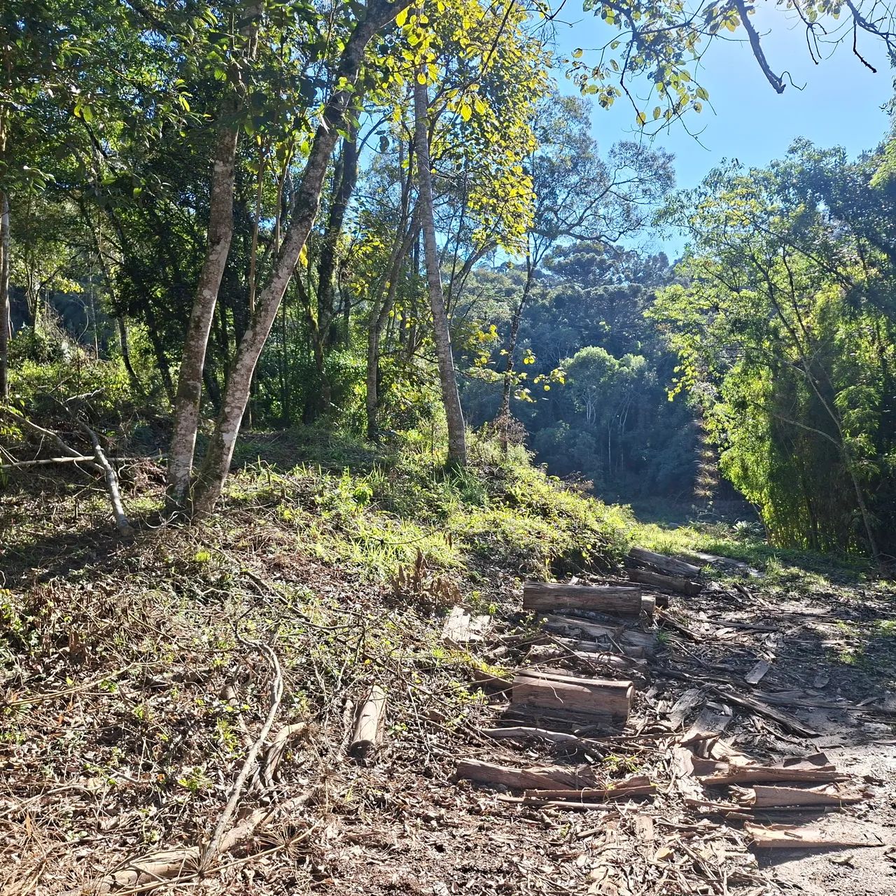 Terreno sítio 