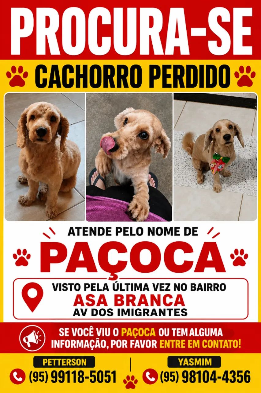 procura-se cachorro