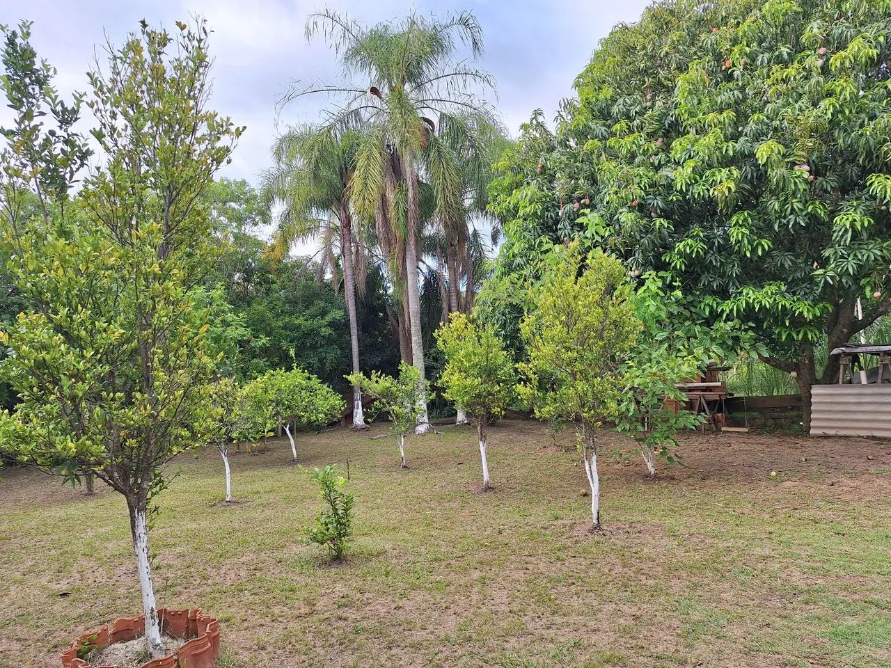 Foto - Sorocaba - Jardim Santa Rosália