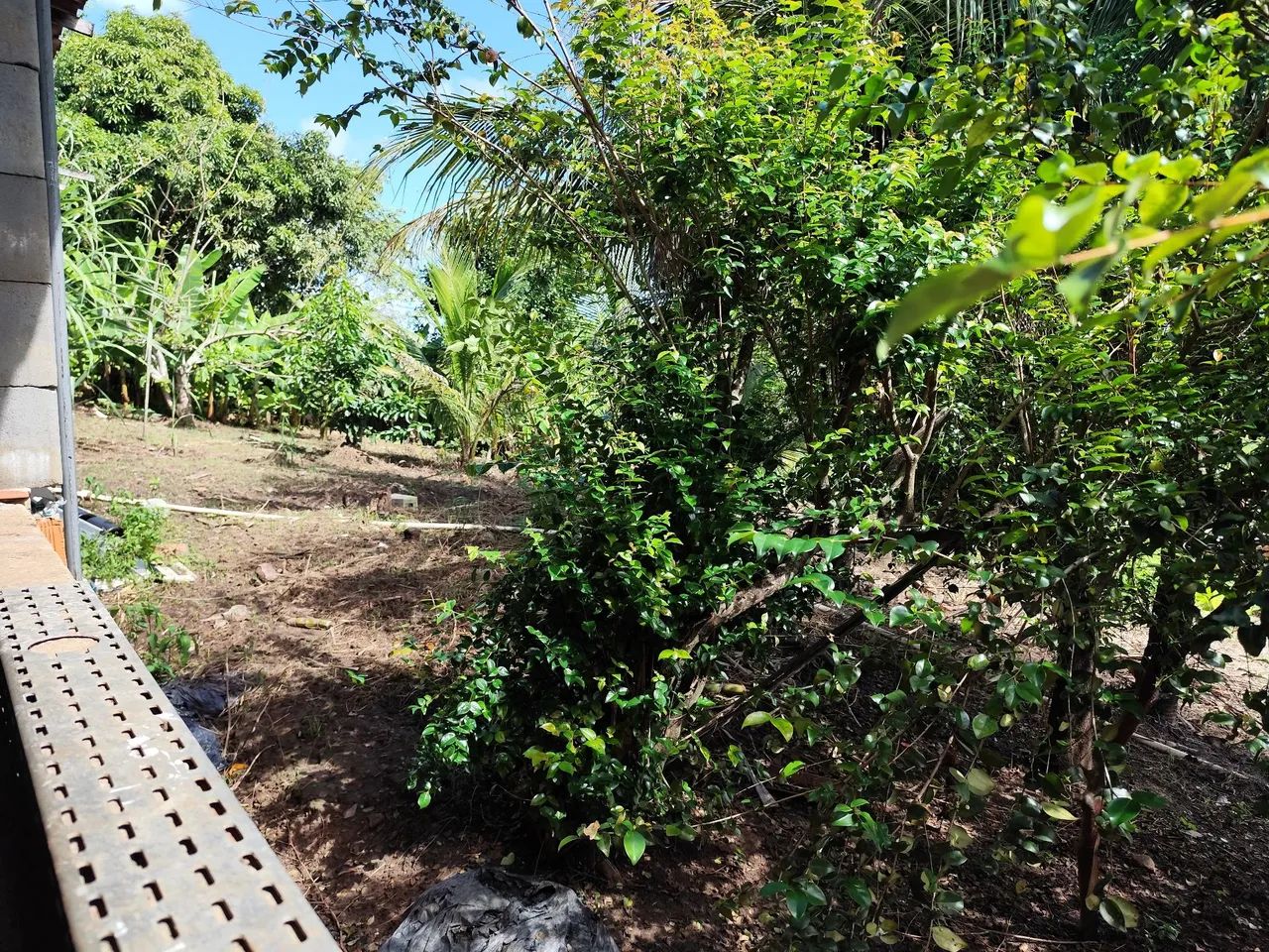 Terreno com duas casas  - Foto 4