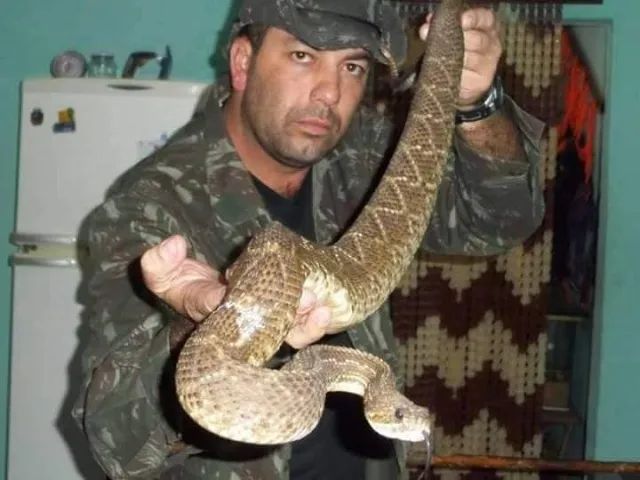 Curso sobre Serpentes e criação para produção de veneno. - Foto 3
