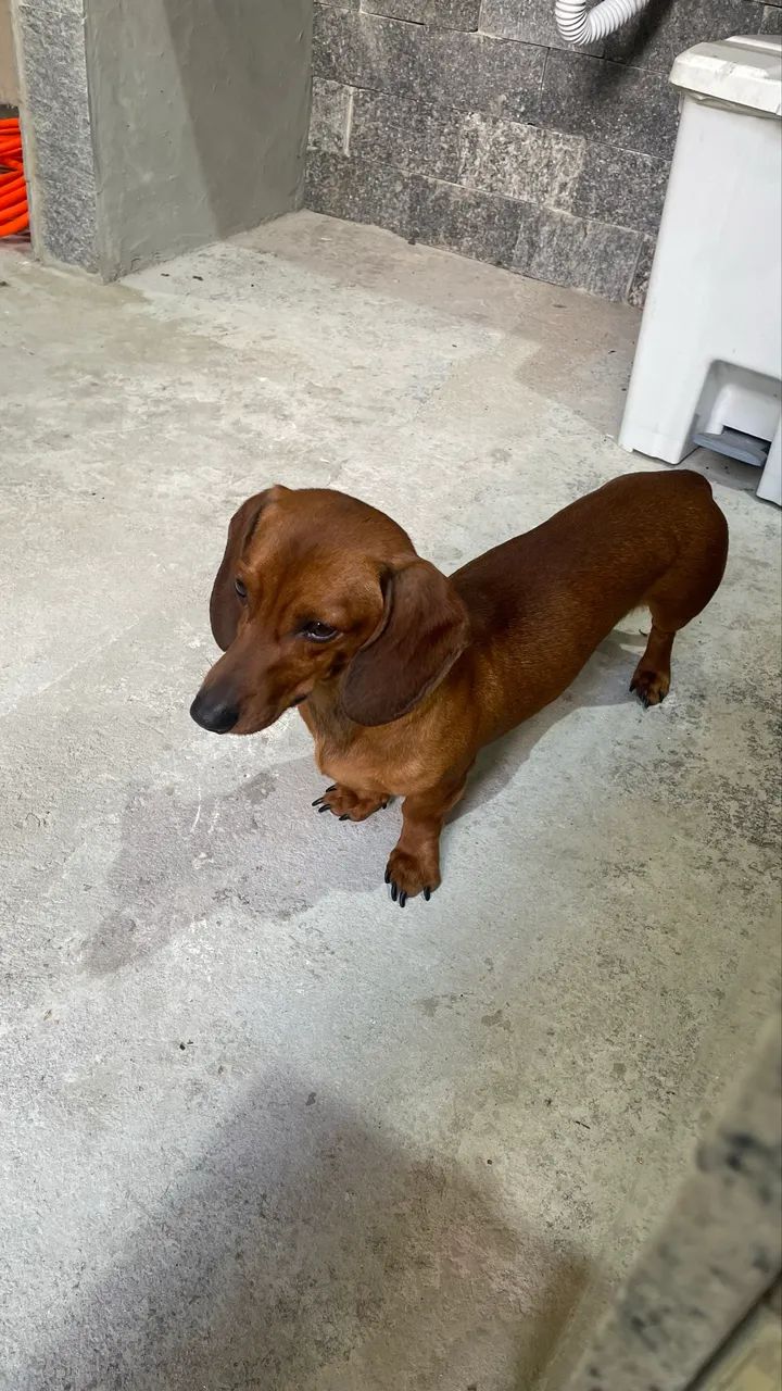 Procuro uma namorada  - Foto 3