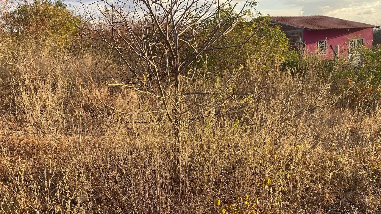 Vendo terreno para construção de imóvel  - Foto 3