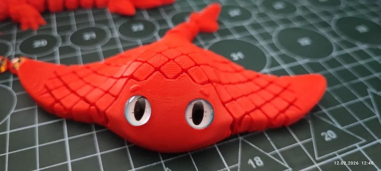 Raia 3D Articulado - Foto 3