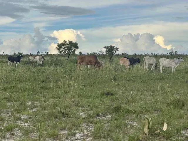Fazenda Zona Rural - Foto 5