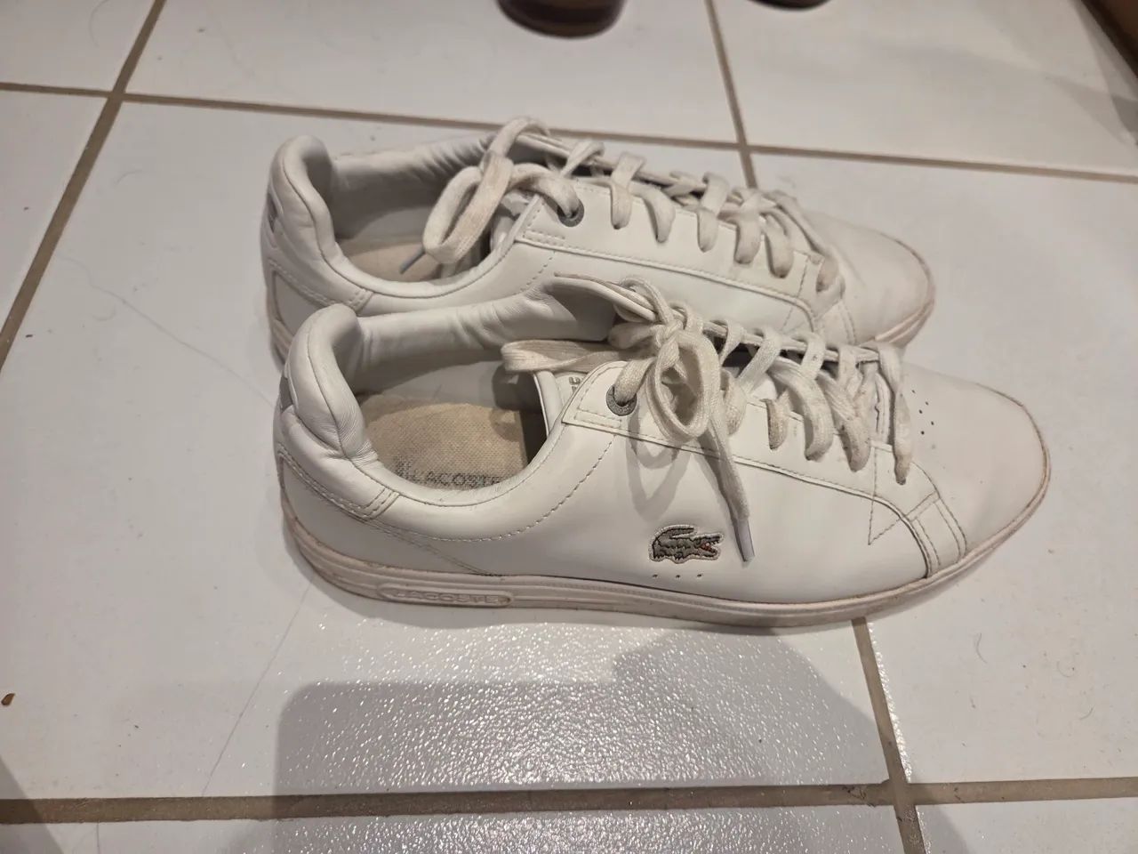 Tênis lacoste original