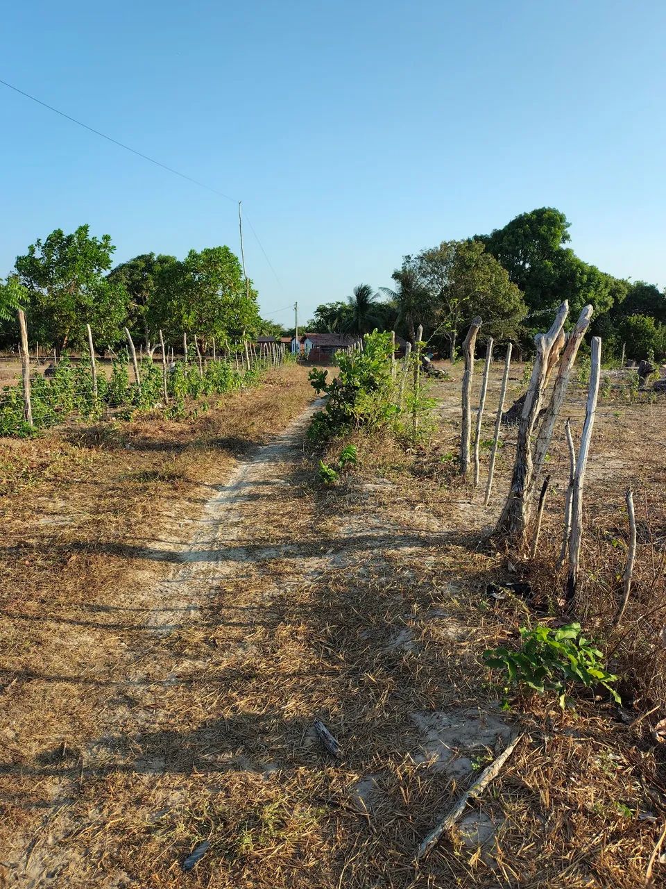 Terreno na Paraipaba  - Foto 3