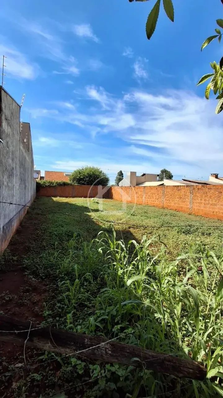 TERRENO COM OTIMA OPORTUNIDADE DE INVESTIMENTO - Foto 2