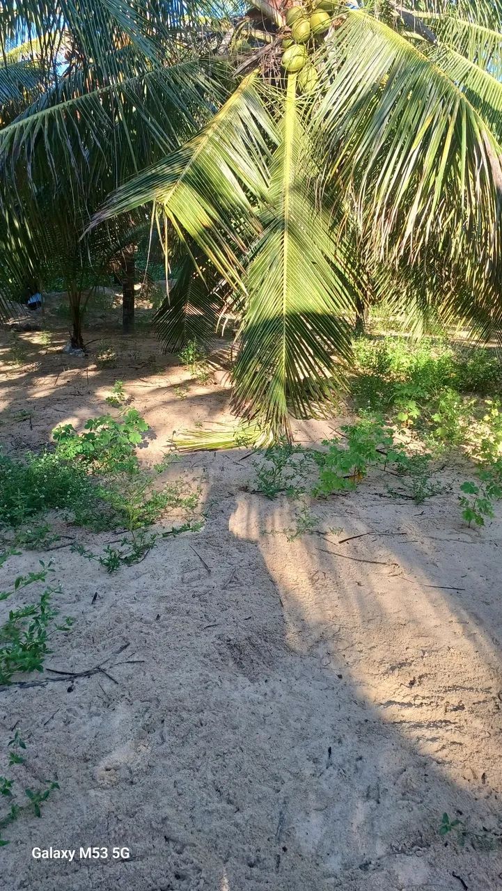 Vendo um terreno na praia  - Foto 4
