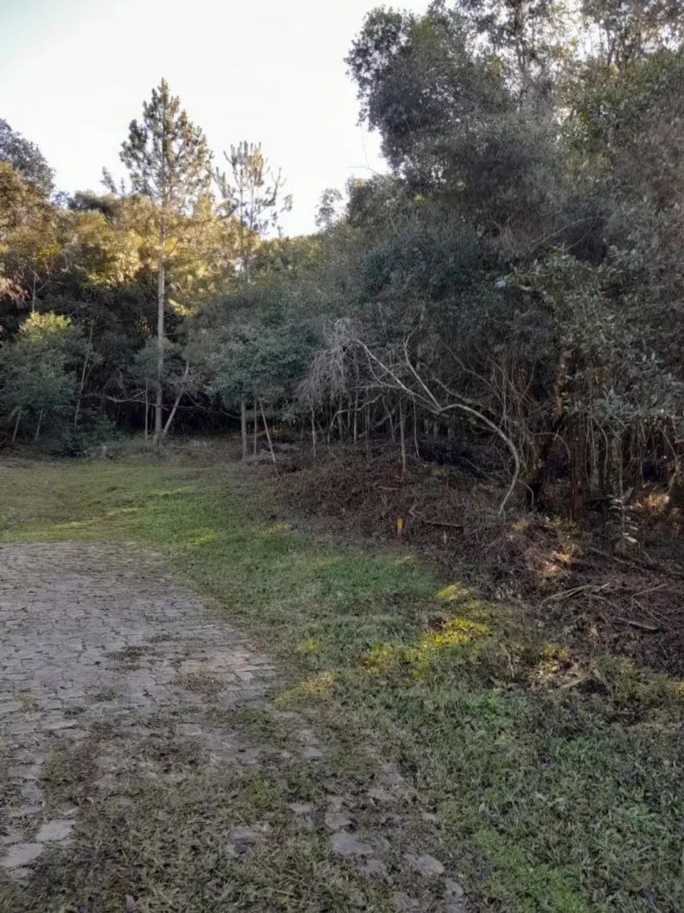 CAXIAS DO SUL - Terreno Padrão - MONTE BÉRICO - Foto 6