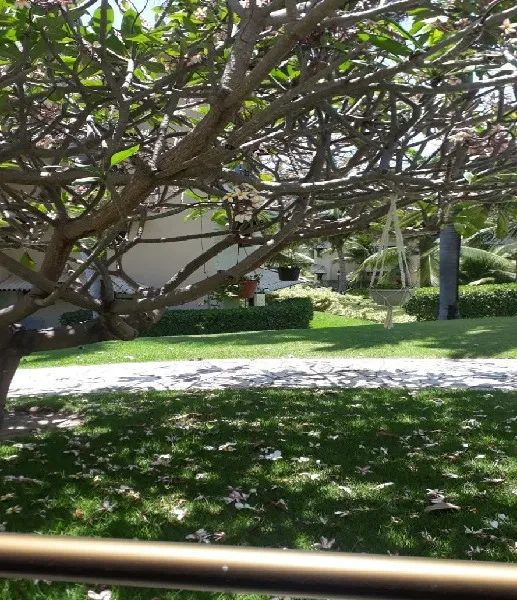 Beach Place Resort - Semana Santa 2026 - Foto 7