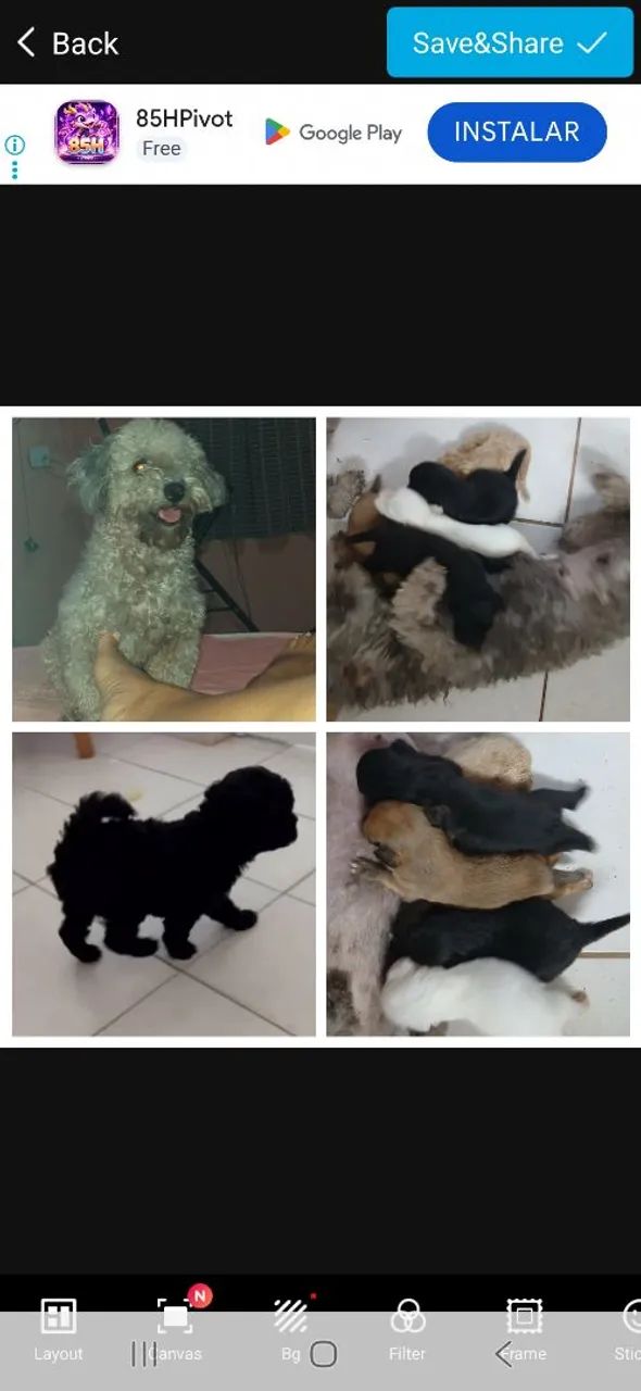 Vendo  - Foto 4