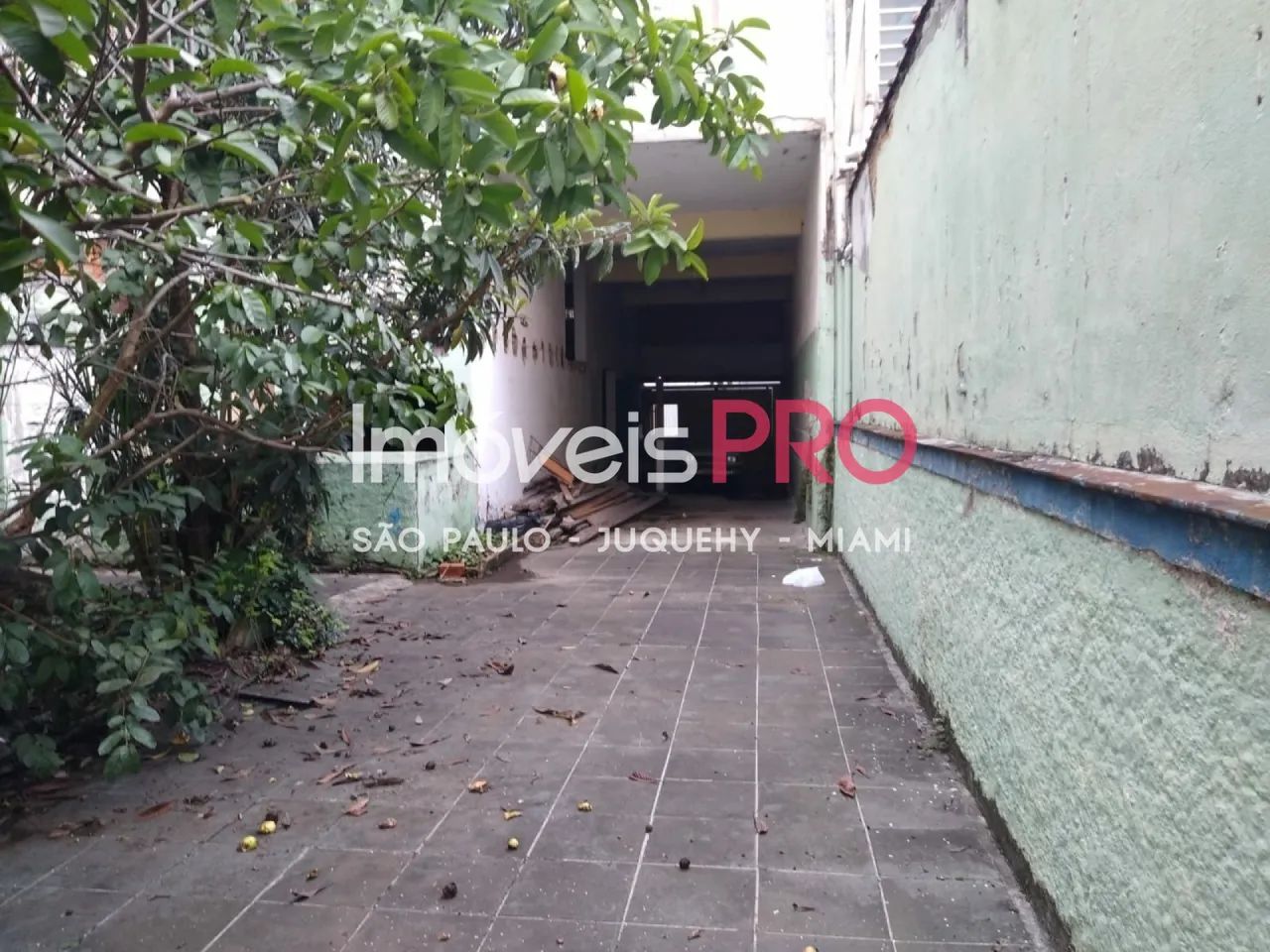 Galpão, Vila Alexandria - São Paulo