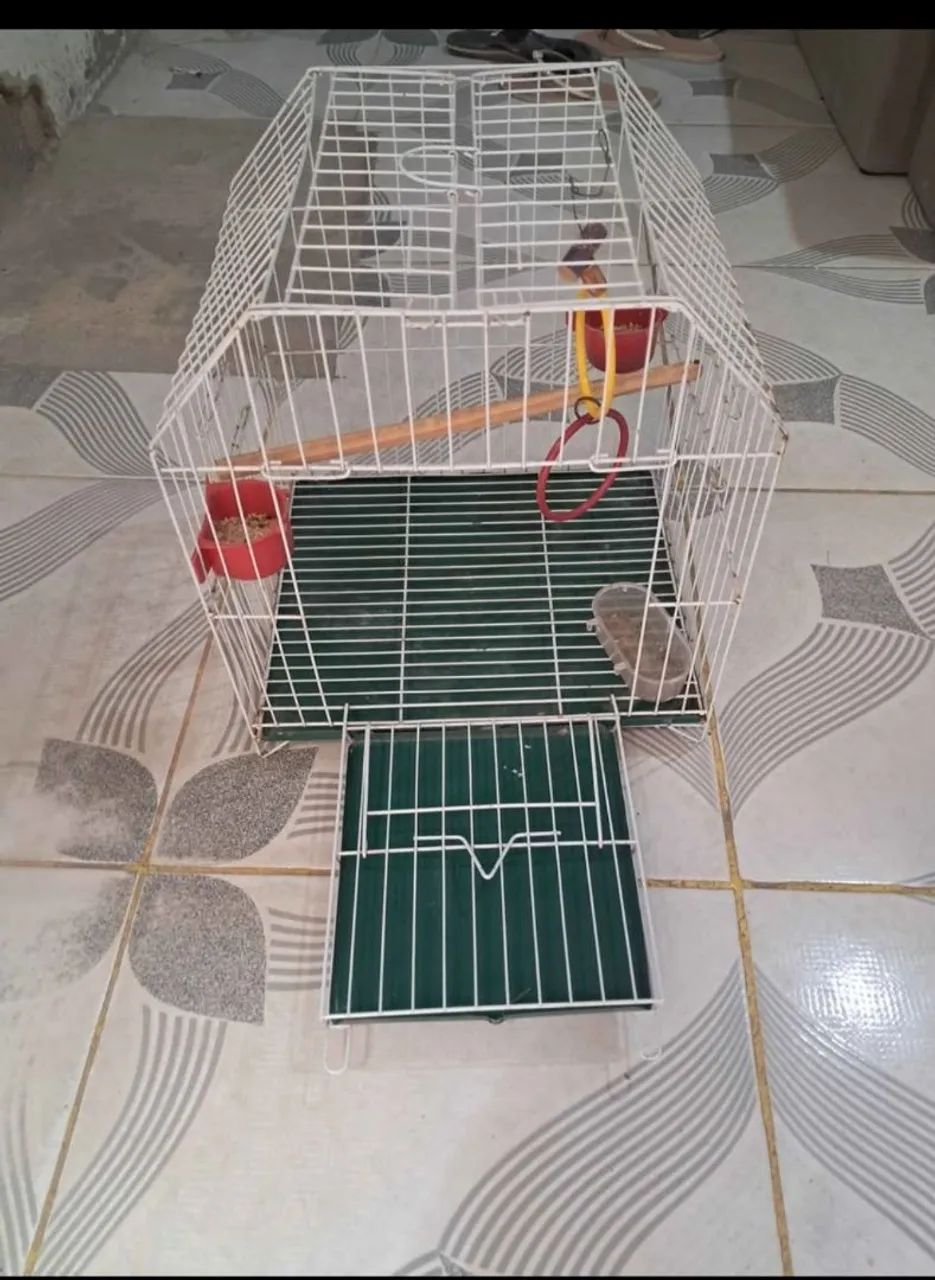 Gaiola calopsita  - Foto 2