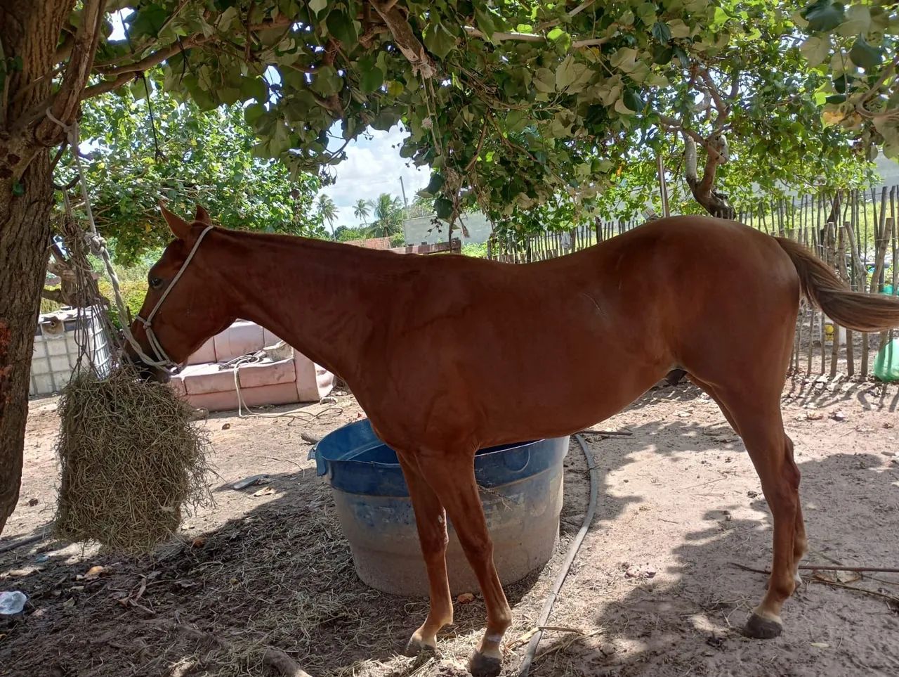 VENDO - Foto 4