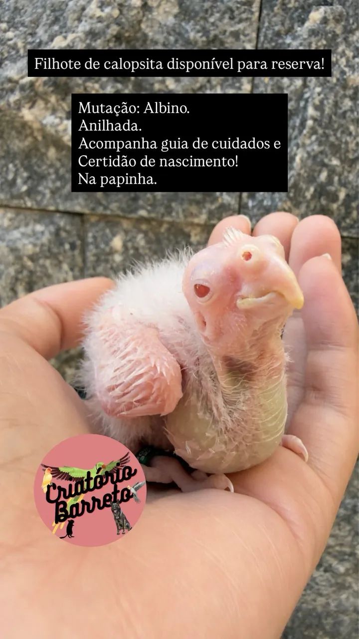 Para reserva