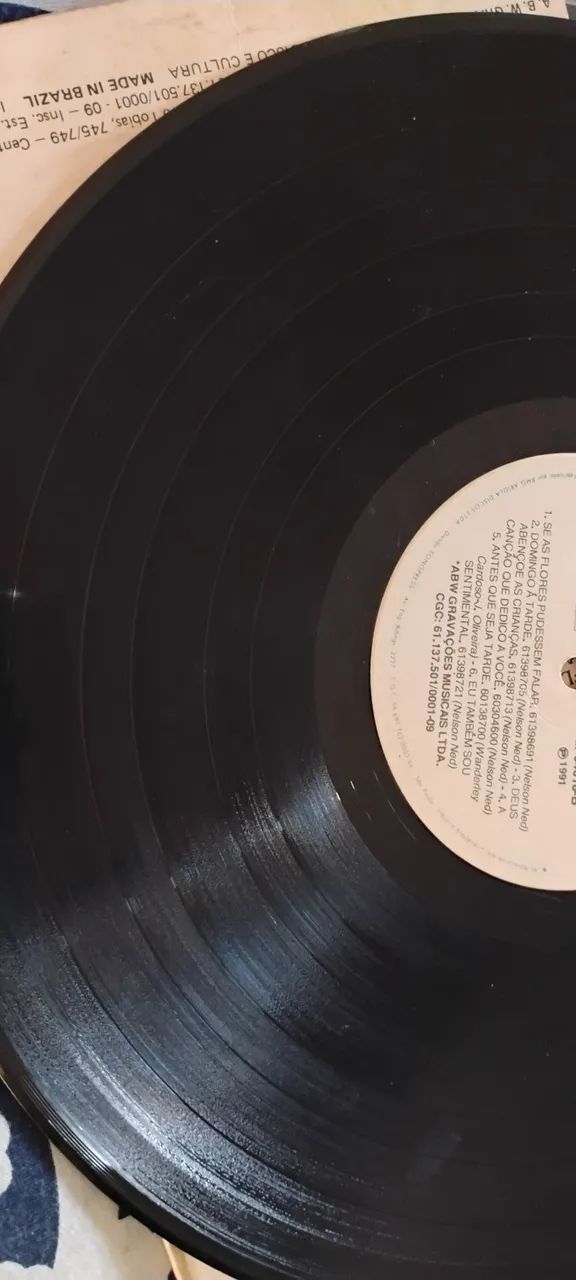 Vinil Nelson Ned  - Foto 5