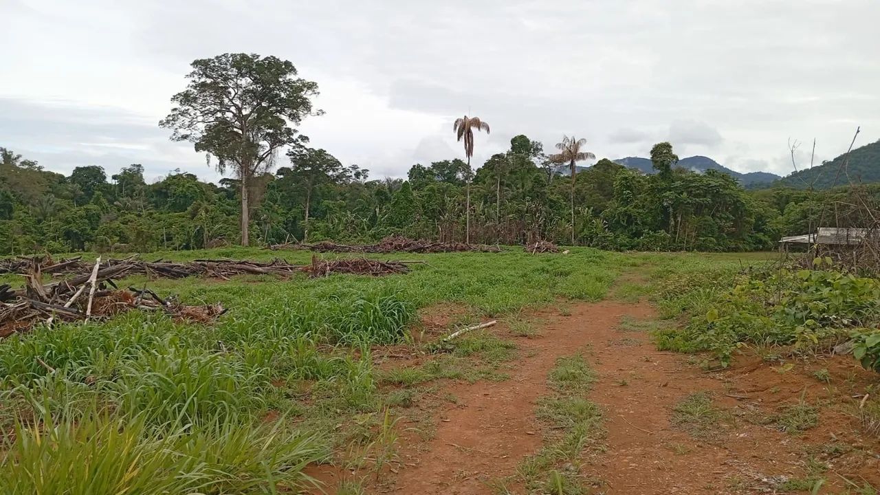 Área pra fazenda  - Foto 3