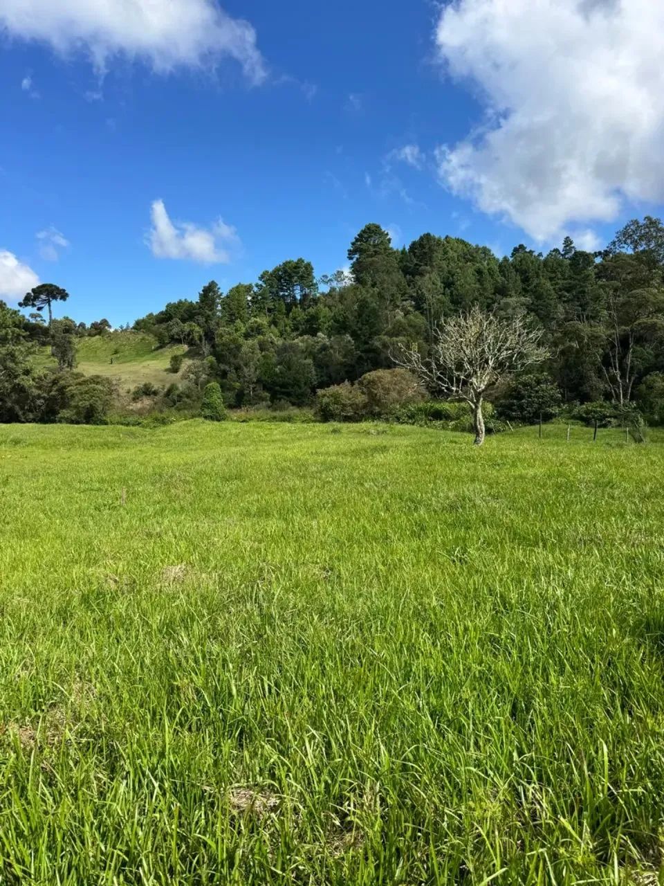 Sitio em Rancho Queimado - SC - Foto 5
