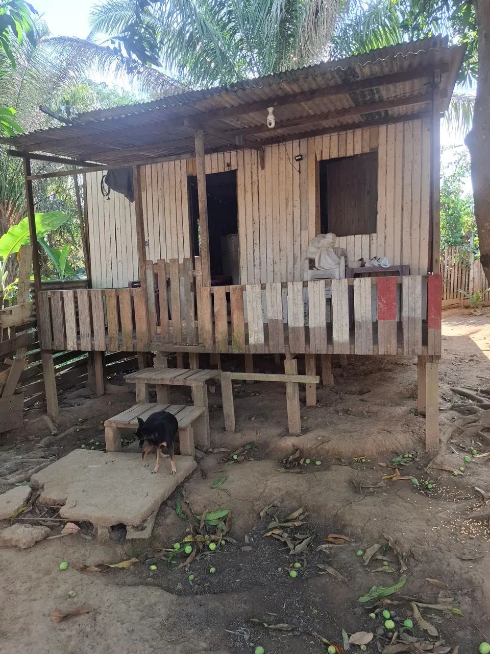 Vende-se 100 mil - Foto 4