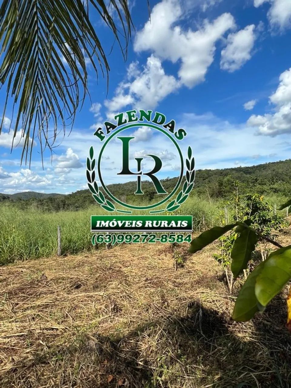 Fazenda  Dupla Aptidão 348 Hectares Região Almas - Foto 5